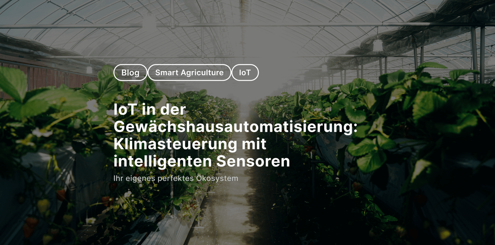 IoT in der Gewächshausautomatisierung